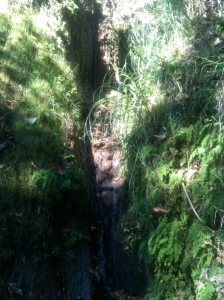 Escondido lower Falls